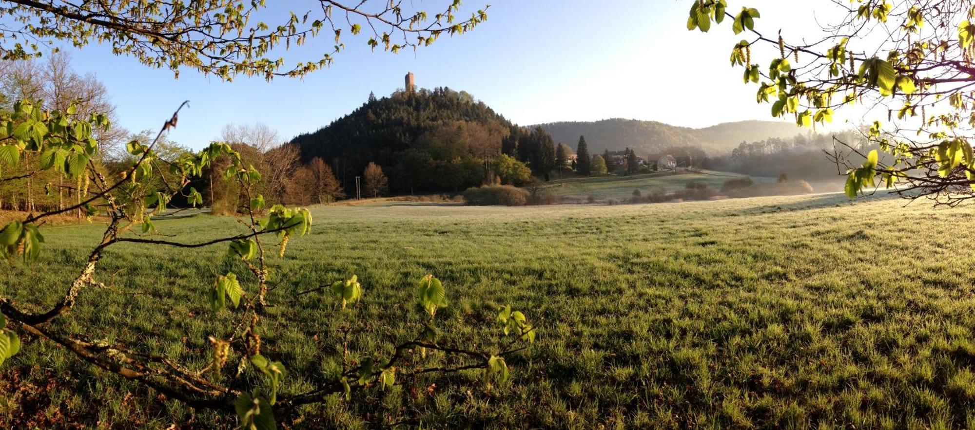 Le Gite De L'Ecureuil Sturzelbronn Exteriör bild