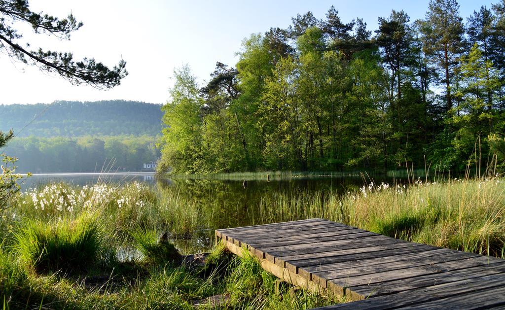 Le Gite De L'Ecureuil Sturzelbronn Exteriör bild