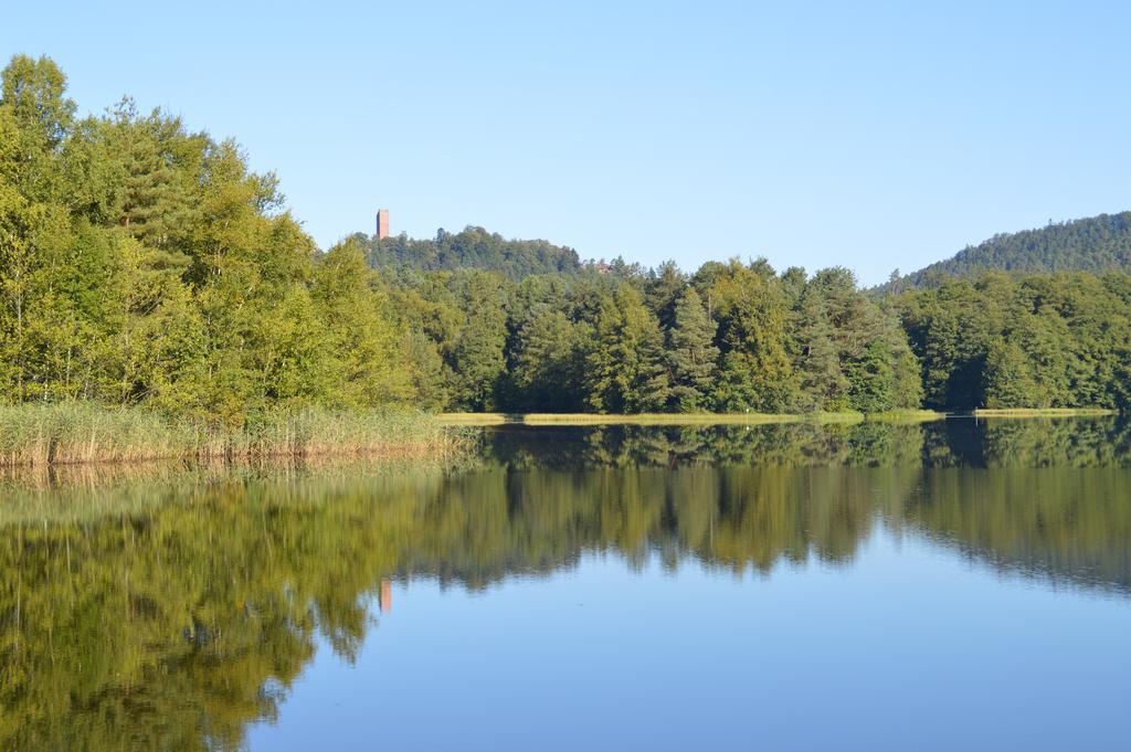 Le Gite De L'Ecureuil Sturzelbronn Exteriör bild