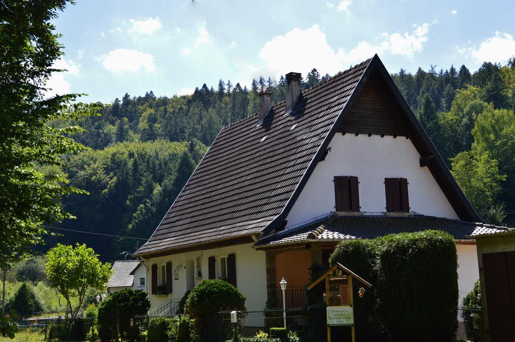 Le Gite De L'Ecureuil Sturzelbronn Exteriör bild