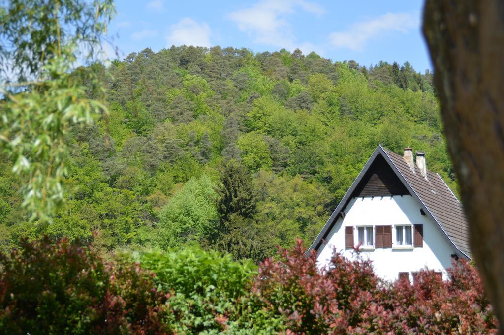 Le Gite De L'Ecureuil Sturzelbronn Exteriör bild