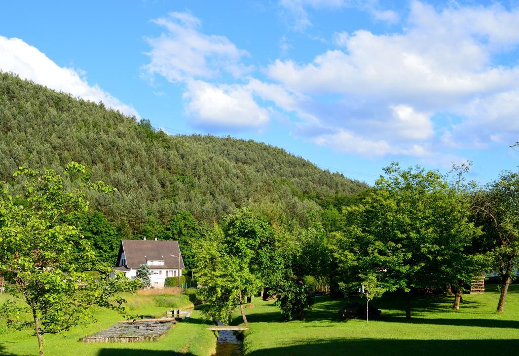 Le Gite De L'Ecureuil Sturzelbronn Exteriör bild