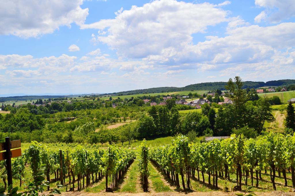 Le Gite De L'Ecureuil Sturzelbronn Exteriör bild