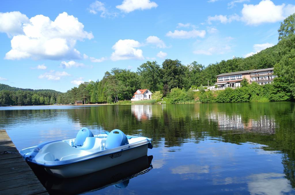 Le Gite De L'Ecureuil Sturzelbronn Exteriör bild