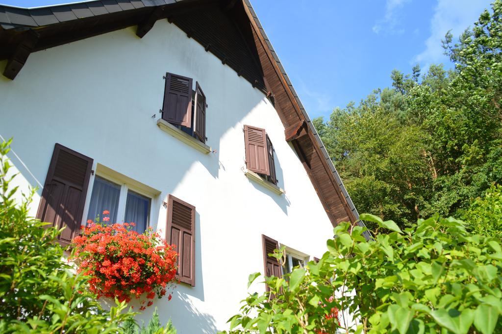 Le Gite De L'Ecureuil Sturzelbronn Exteriör bild