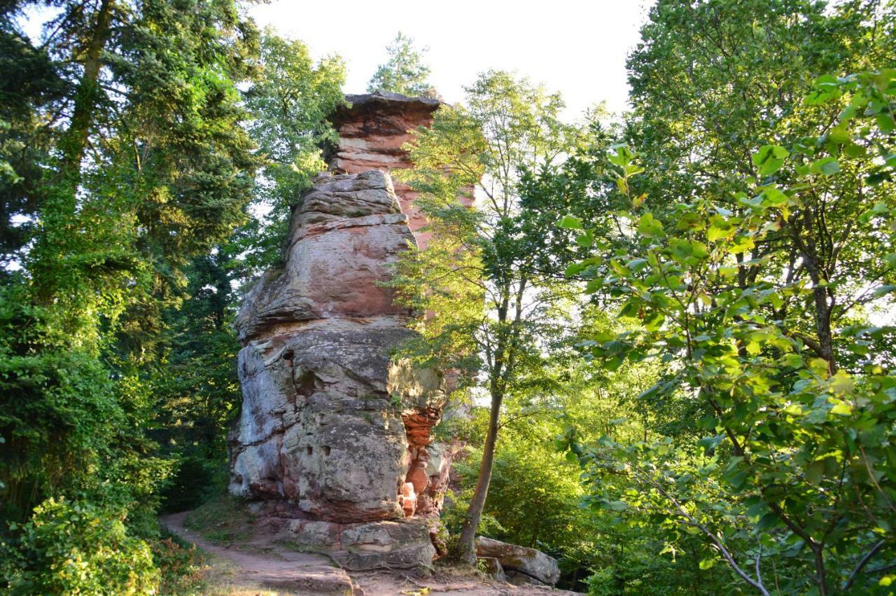 Le Gite De L'Ecureuil Sturzelbronn Exteriör bild