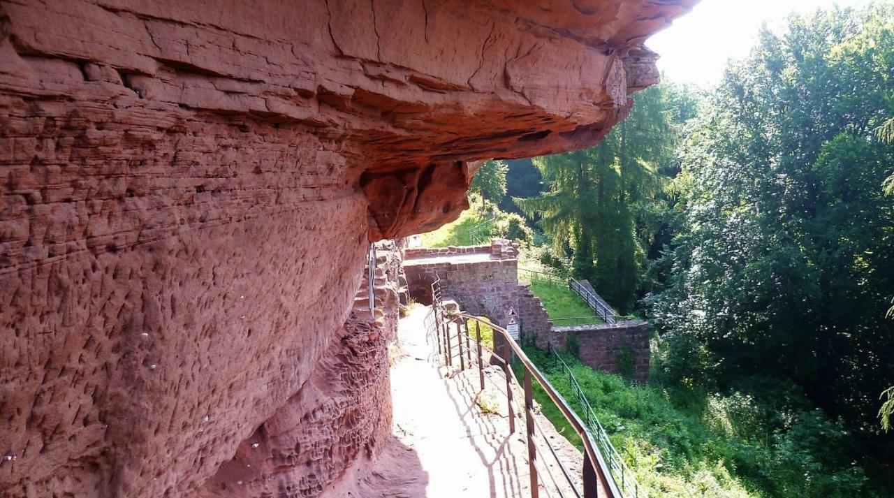 Le Gite De L'Ecureuil Sturzelbronn Exteriör bild
